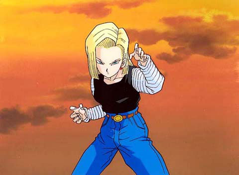 Otaku Gallery  / Anime e Manga / Dragon Ball / Cels / Androidi / andcel24.jpg